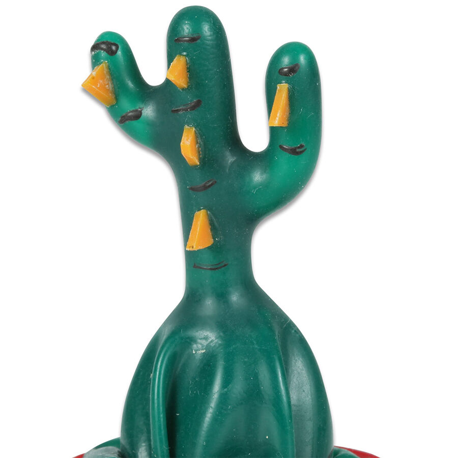 CONDOMERIE Cactus, regalo erotico divertente