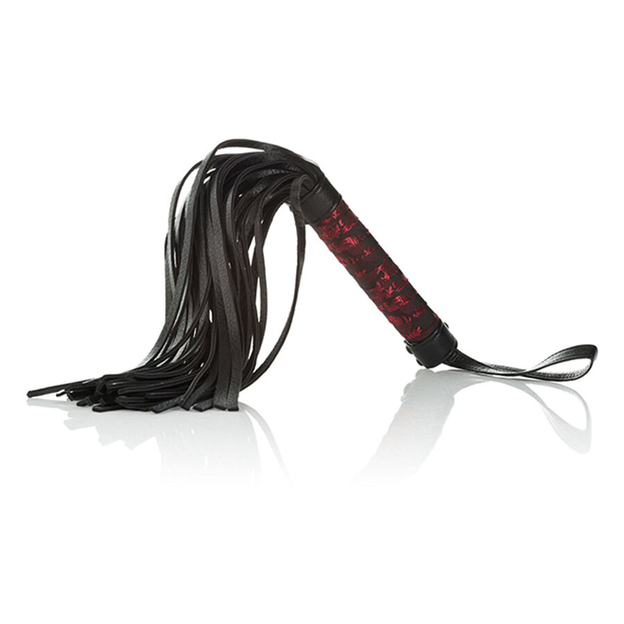 CalExotics Scandal Flogger