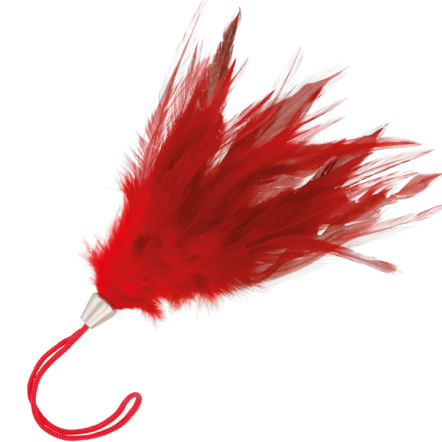Boa di piume rossa DARKNESS SENSATIONS