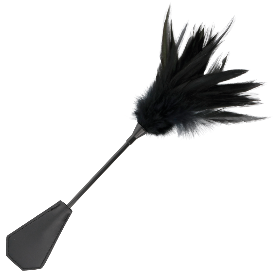 DARKNESS SENSATIONS Frustino con piuma e bacchetta, 48 cm